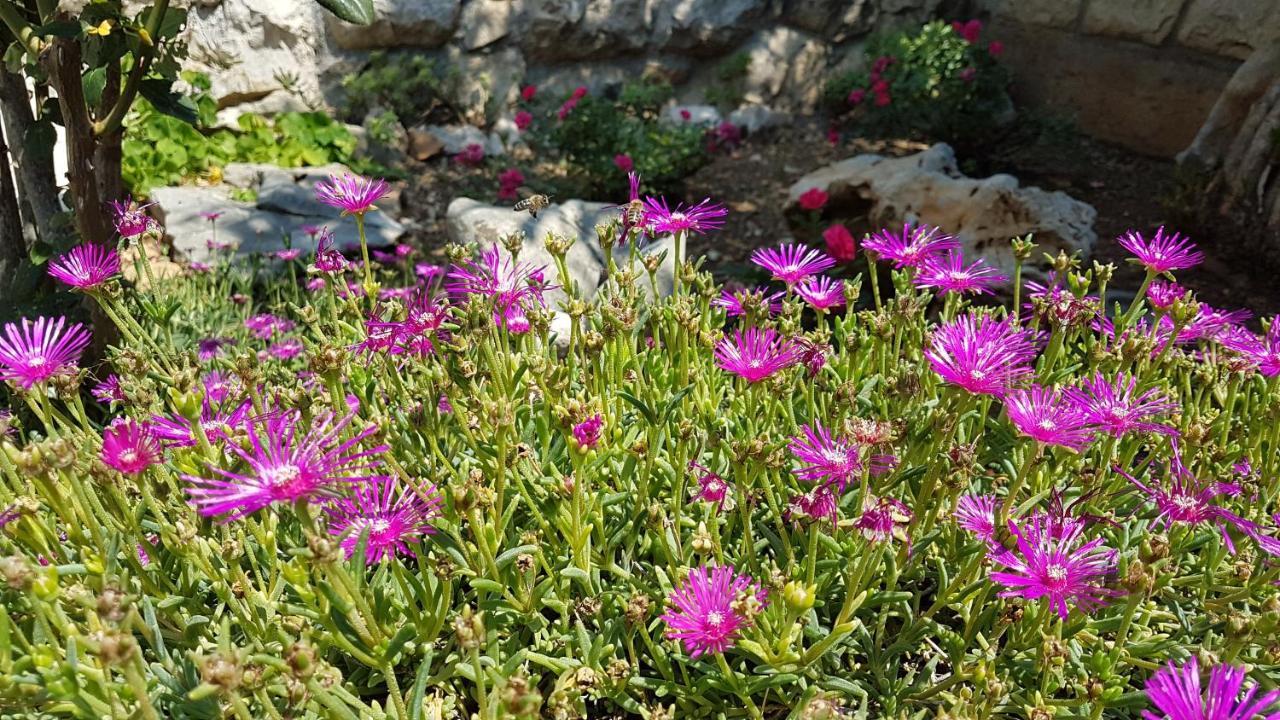 Apartments Gorana Crikvenica Dış mekan fotoğraf